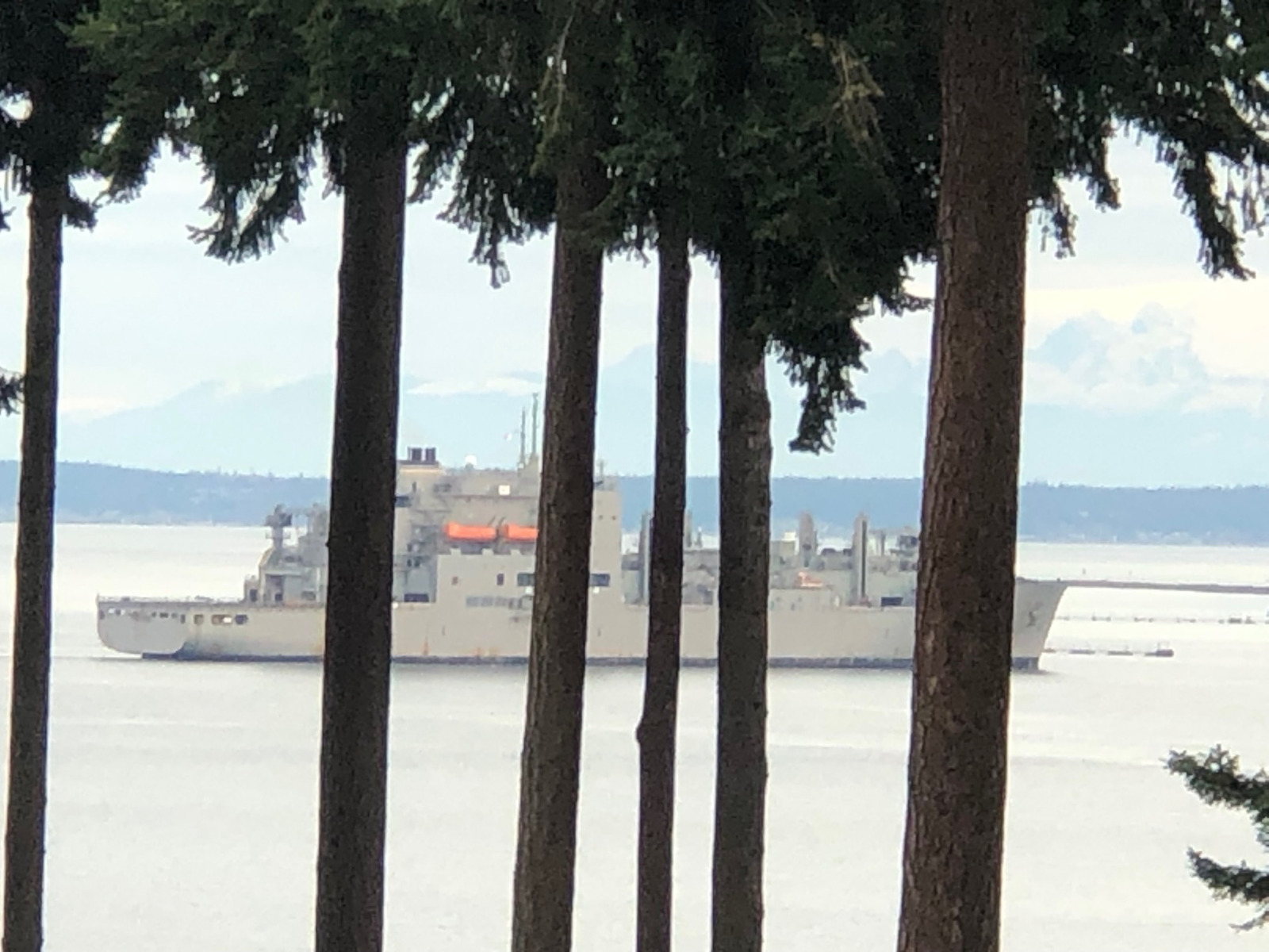 Gratitude Progress Planning